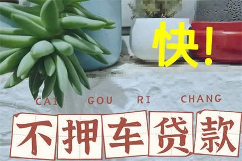 按揭车贷款不押车app：轻松套现，快速周转