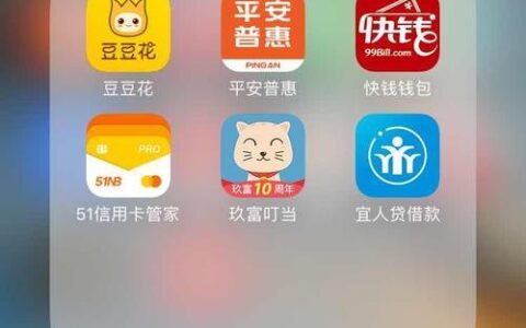 豆豆花小额贷款怎么样？