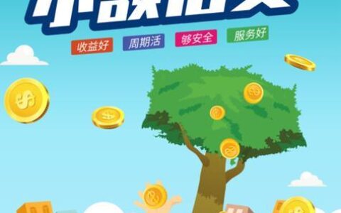 小额贷款：为小微企业和个人提供便捷融资渠道