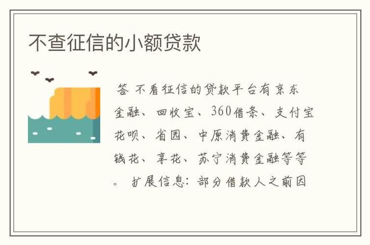 2024年不看征信的贷款：靠谱吗？有哪些风险？