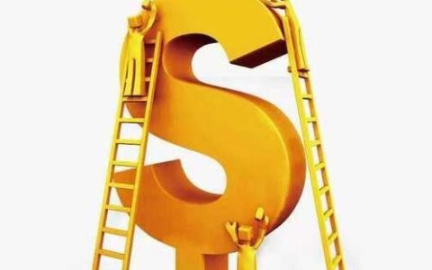 重庆两江新区宝升小额贷款股份有限公司简介