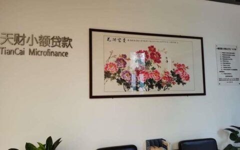 洛阳小额贷款公司有哪些？