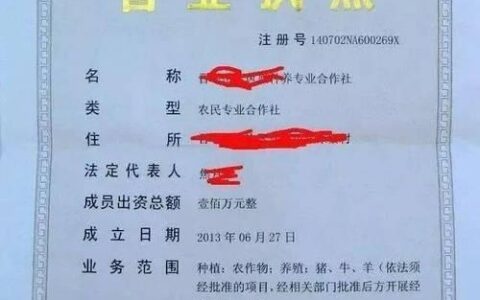 营业执照贷款多久能下款？