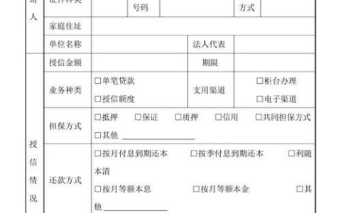 小额贷款申请表：快速了解贷款所需信息