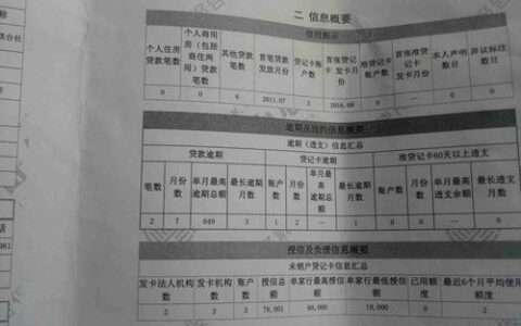 汽车抵押贷款看征信吗？