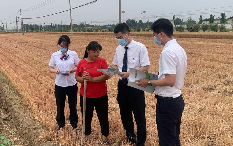 北京农信小额贷款：助力乡村振兴的金融力量