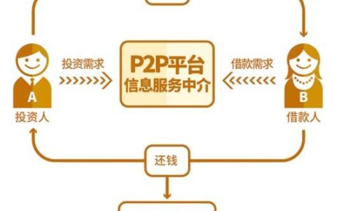 P2P借贷服务平台：简介、运作模式和风险评估