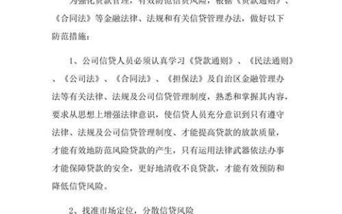 小额贷款的风险及其防范措施