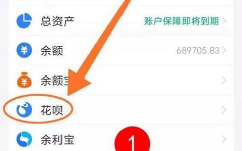 如何从花呗借钱？