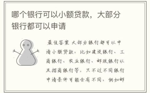 哪个银行可以小额贷款？