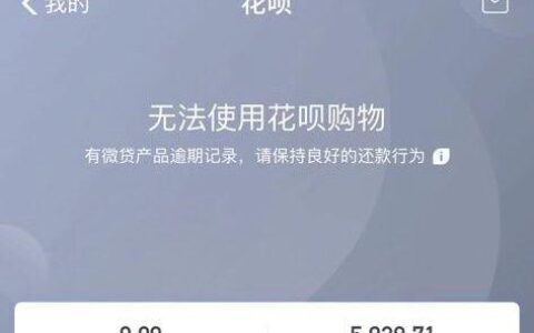 花呗借款条件：开通和使用指南