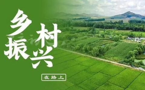 贵州小额贷款：助力乡村振兴，服务实体经济