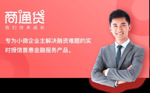 海南宜信普惠小额贷款：助力小微企业发展