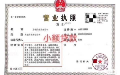 广州普融小额贷款有限公司简介