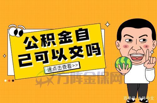 网贷逾期可以交公积金吗？