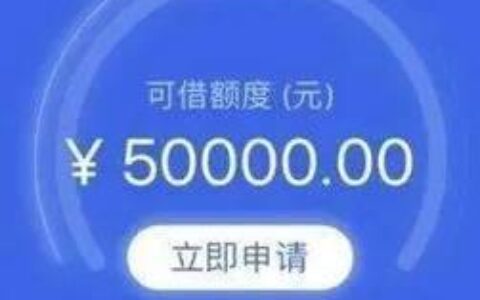 2024秒下款的网贷：快速解决资金需求？