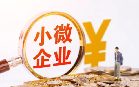 5000小额贷款公司：为小微企业和个人提供便捷融资服务