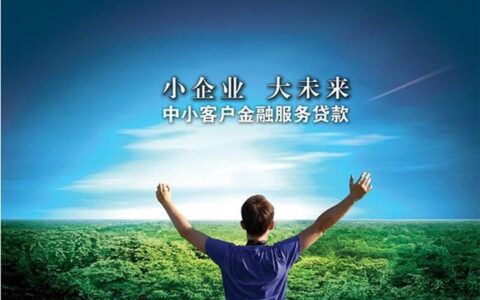 广州京信小额贷款有限公司简介