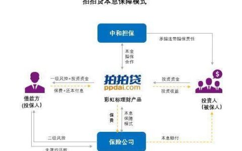 拍拍贷资金筹集：模式与策略