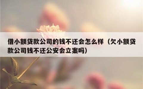 欠小额贷款公司的钱还不上怎么办？