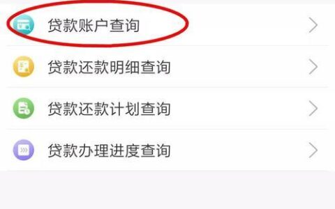 如何查询自己借贷平台？