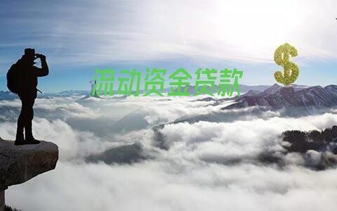 小额贷款500到1000：快速解决短期资金需求