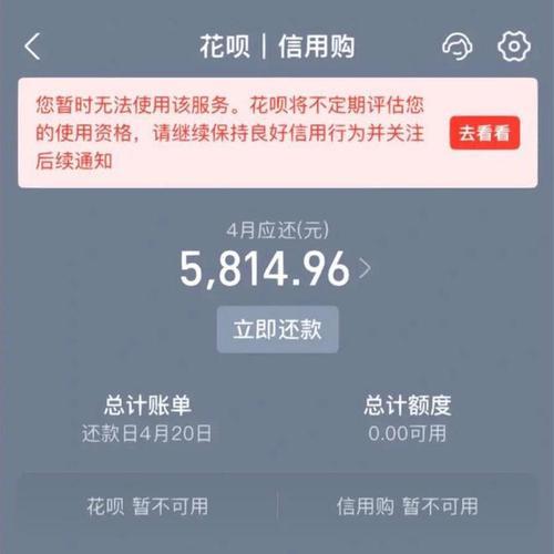 花呗借呗客服电话：快速解决您的疑难问题
