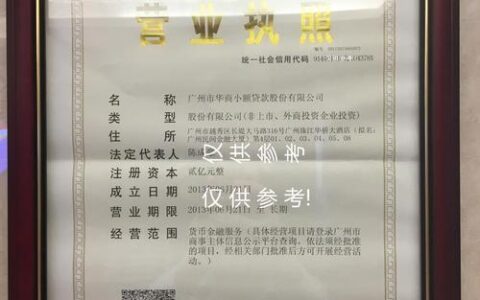 重庆两江小额贷款有限公司简介