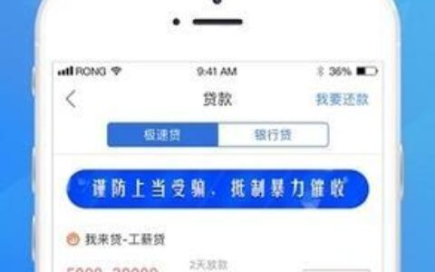 小额贷款平台：轻松解决资金难题的便捷之选
