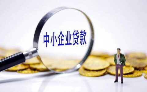 小额贷款，无视黑白：信用至上，公平借贷