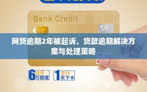 同时被多家网贷平台起诉：应对策略与法律建议