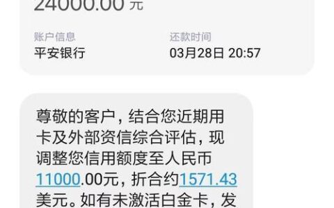 网贷逾期有信用卡，还能申请贷款吗？解析申贷困境与应对策略