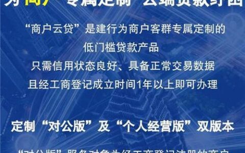 小额贷款公司：普惠金融的生力军