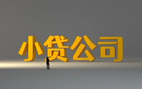 恒隆小额贷款：助力中小微企业腾飞的金融伙伴