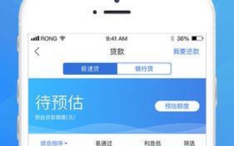 小额贷款平台：轻松解决资金难题的得力助手