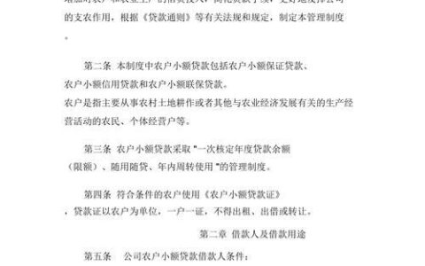公司小额贷款条件全解析：助您顺利获取资金