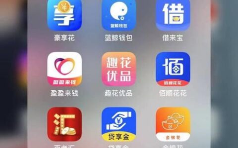 大脸猫贷款强制下款：应对策略与法律维权