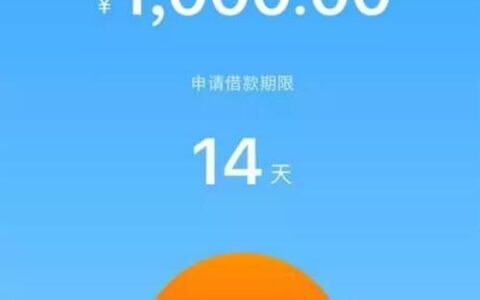 急需1000元？这些小额贷款口子供你选择！