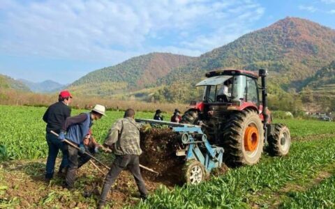 天弘农业基金：深耕沃土，播种未来
