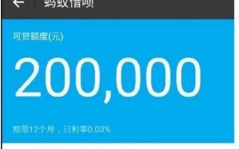 蚂蚁借呗：随时可用的资金后盾