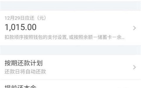 借呗还款攻略：选择最优方案，轻松无压力