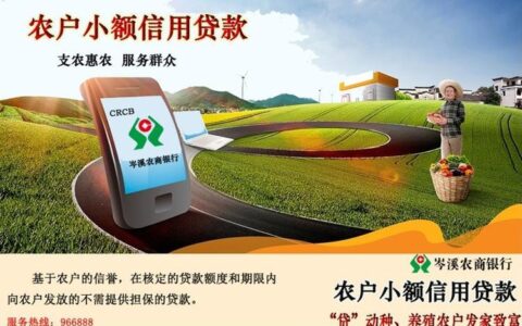 农村商业银行个人小额贷款：助力乡村振兴的金融活水