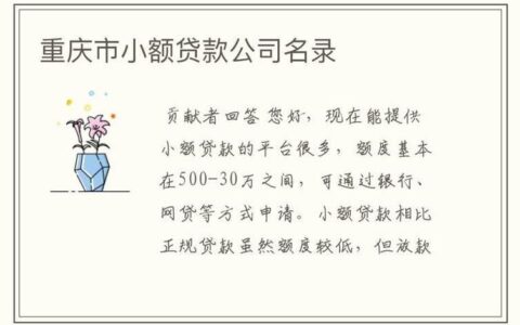 小额贷款公司排行：如何选择最适合您的贷款机构？