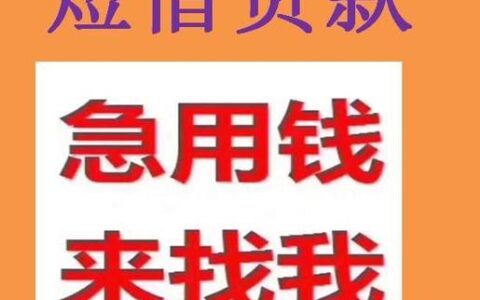 锦州小额贷款公司：现状与选择