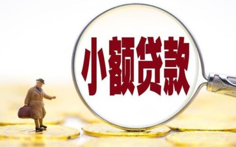 阜新市小额贷款公司：助力小微企业腾飞