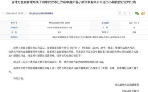 上海华谊小额贷款公司：正规持牌机构，安全可靠