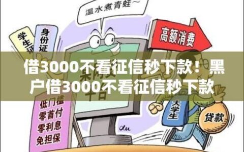 2024十大不看征信正规网贷：急用钱也能轻松借