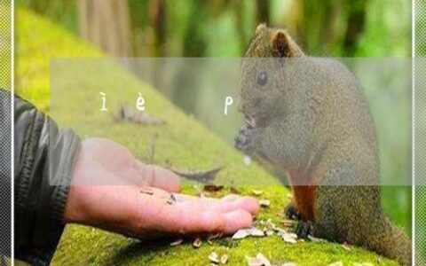 蚂蚁借呗逾期一天，后果有多严重？