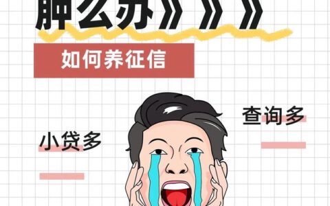 不查征信的分期网贷：真的存在吗？风险与选择