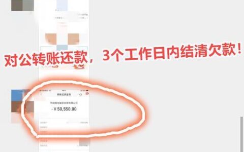 网贷逾期上征信怎么办？教你亡羊补牢！